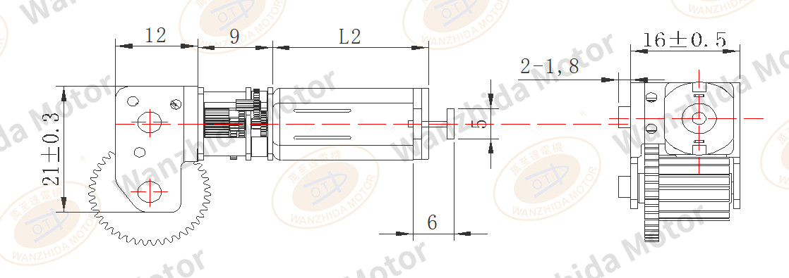 Bevel tooth Gear Motor|Electronic lock motor-Wanzhida Motor