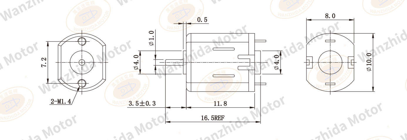 M10 Brush DC motor-wanzhida motor