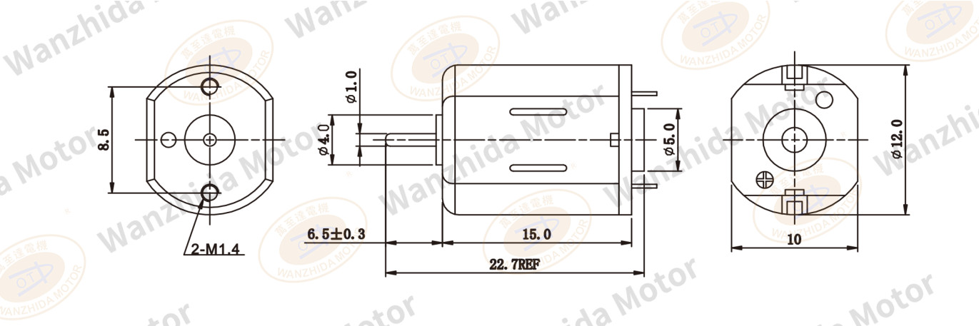 OT-FF-N20 Brush DC motor-wanzhida motor