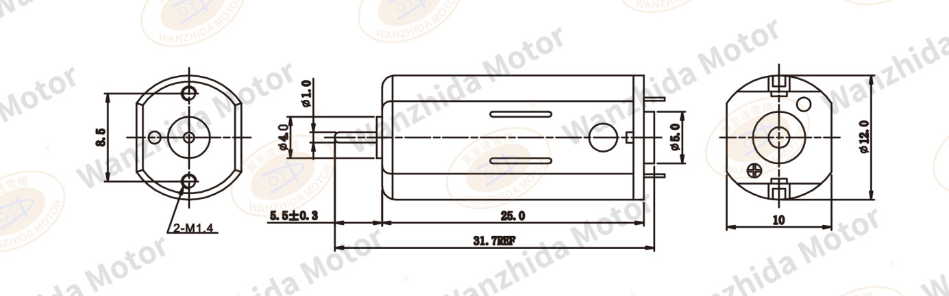 OT-FF-N50 Brush DC motor-wanzhida motor