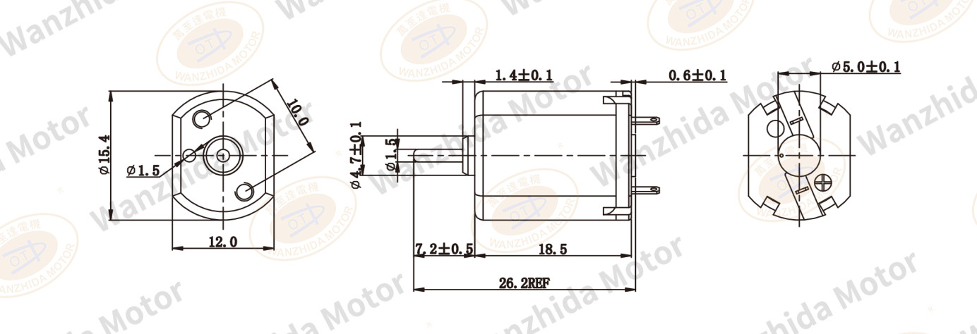 OT-FF-030 Brush DC motor-wanzhida motor