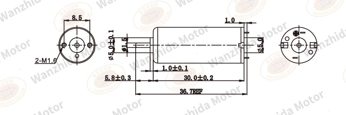 OT-RF-1230 Brush DC motor-wanzhida motor