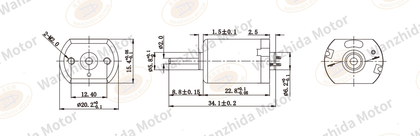 OT-FF-130SA Brush DC motor-wanzhida motor