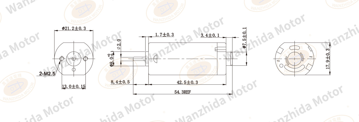 OT-FK-290PA Brush DC motor-wanzhida motor