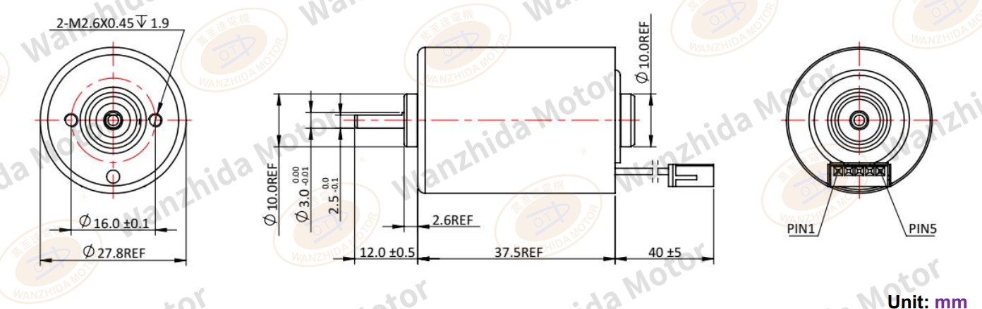 EM 2838 Brushless DC Motor-wanzhida motor