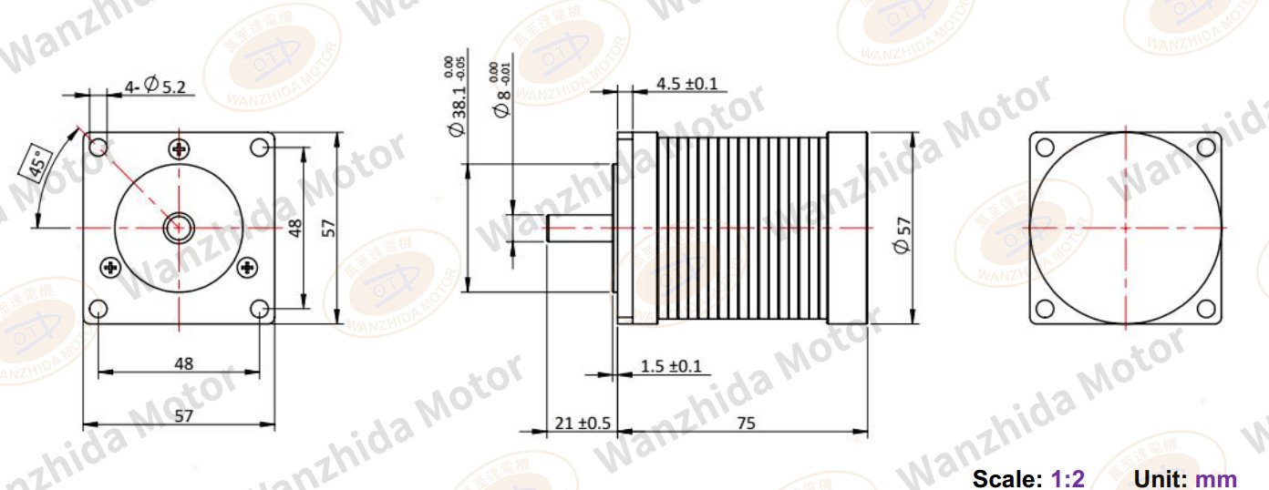 EM 5775 Brushless DC Motor-wanzhida motor