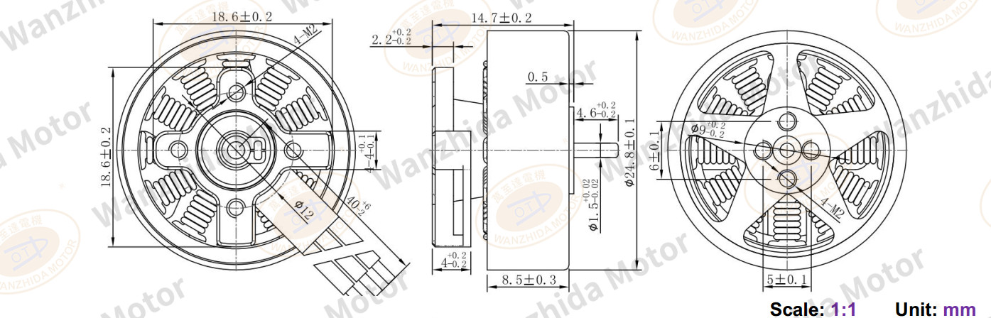 EM2515 Brushless DC Motor-wanzhida motor
