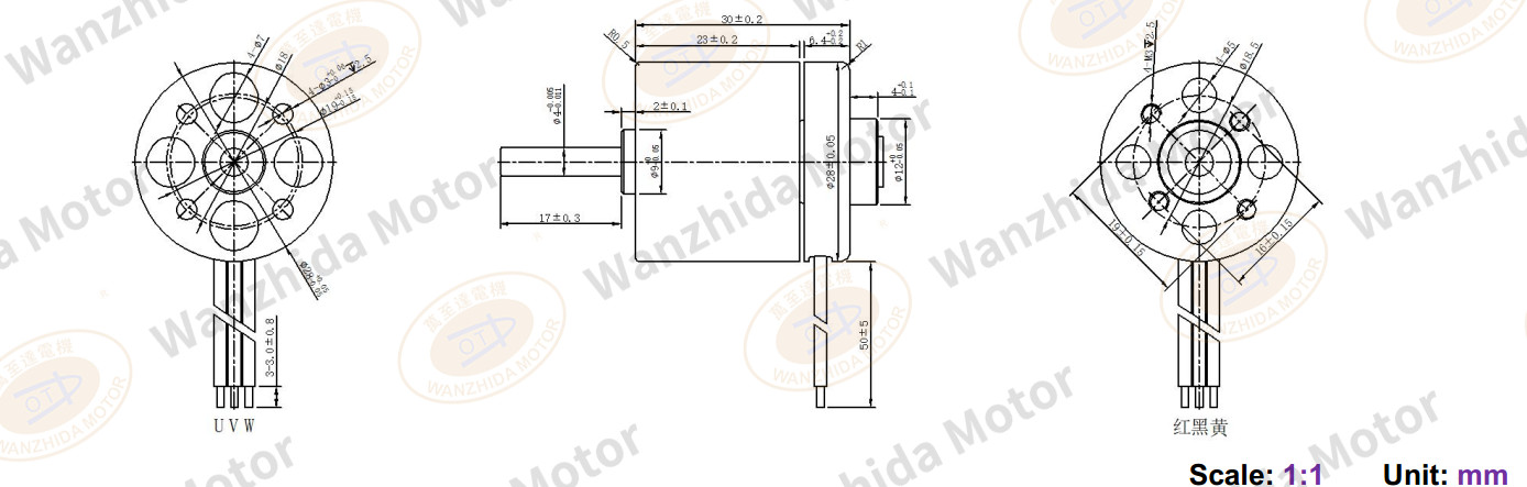 EM2830 Brushless DC Motor-wanzhida motor
