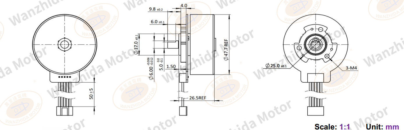 EM4828 Brushless DC Motor-wanzhida motor