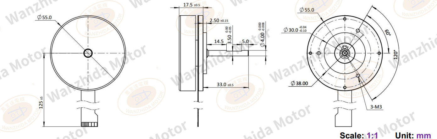 EM5517 Brushless DC Motor-wanzhida motor