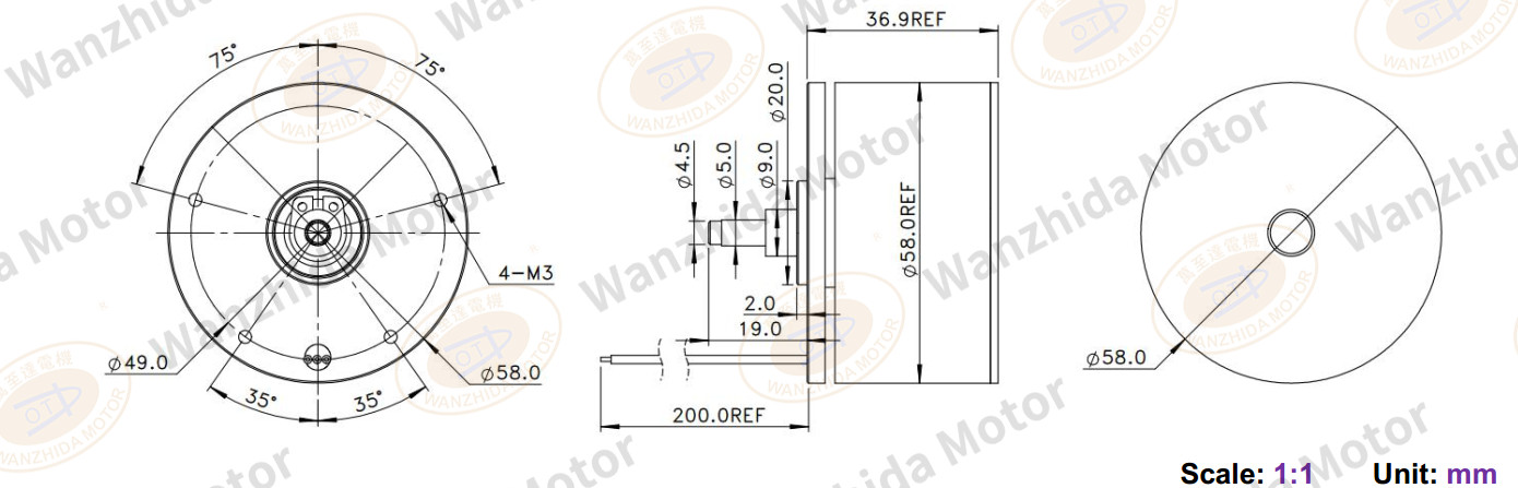 EM5837 Brushless DC Motor-wanzhida motor