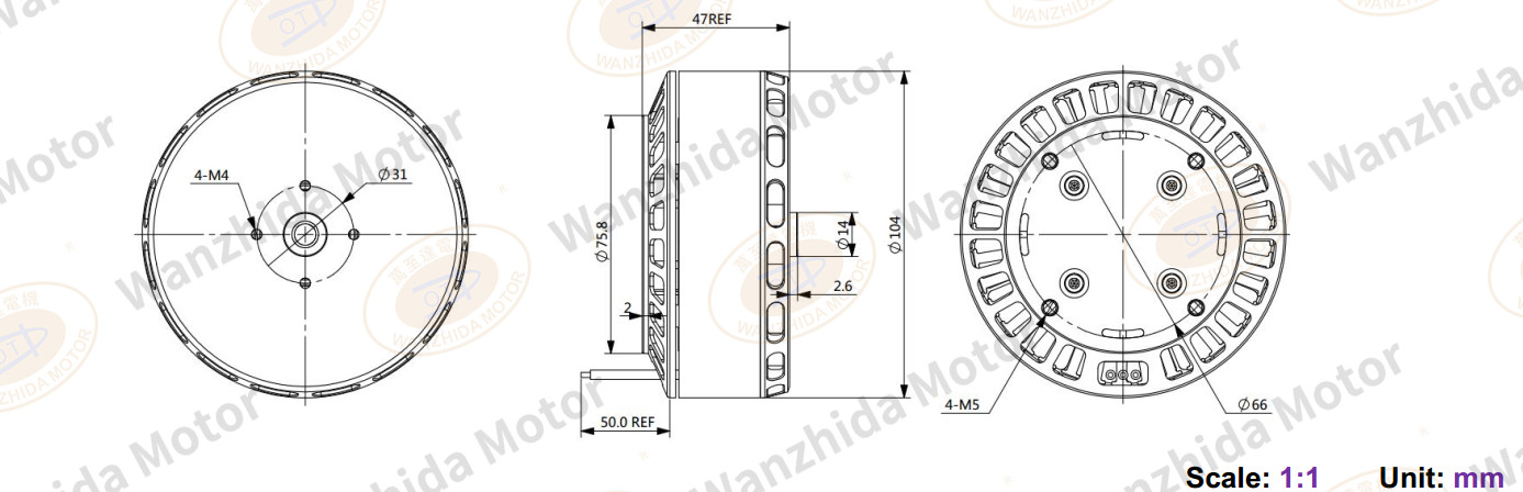 EM10445 Brushless DC Motor-wanzhida motor