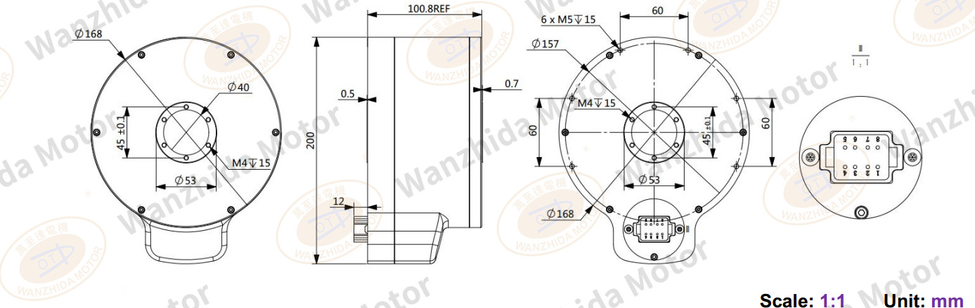 EM168100 Brushless DC Motor-wanzhida motor