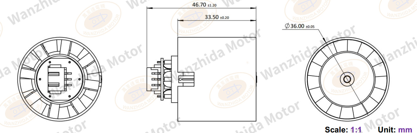 110000 Rpm Hair Dryer Brushless Motor-wanzhida motor