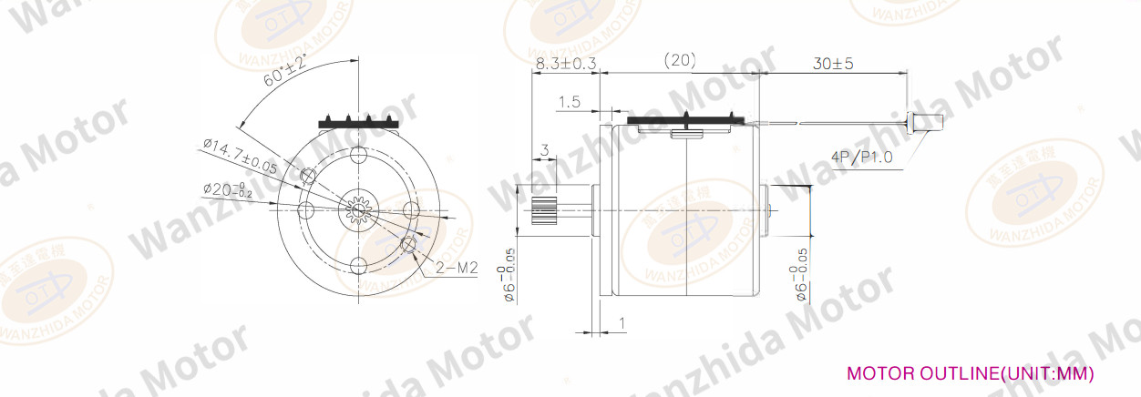 OT-SM20P-249A PM stepping motor-wanzhida motor