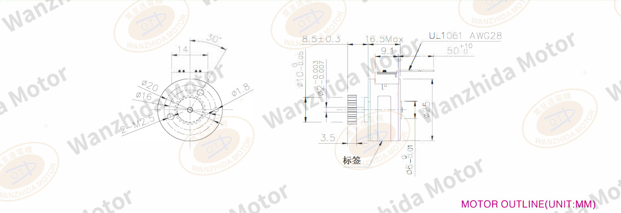 OT-SM25P-243 PM stepping motor-wanzhida motor