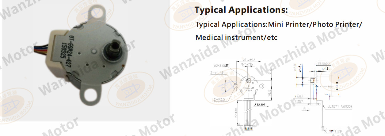 OT-GSM24-427 PM stepping motor-wanzhida motor