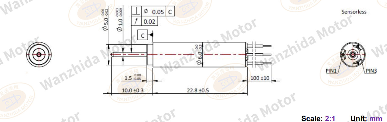 6mm Electronical Commutation Slotless DC Motor-wanzhida motor