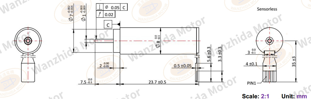 8mm Electronical Commutation Slotless DC Motor-wanzhida motor