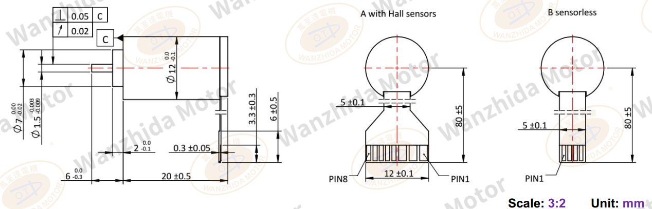 12mm Electronical Commutation Slotless DC Motor-wanzhida motor