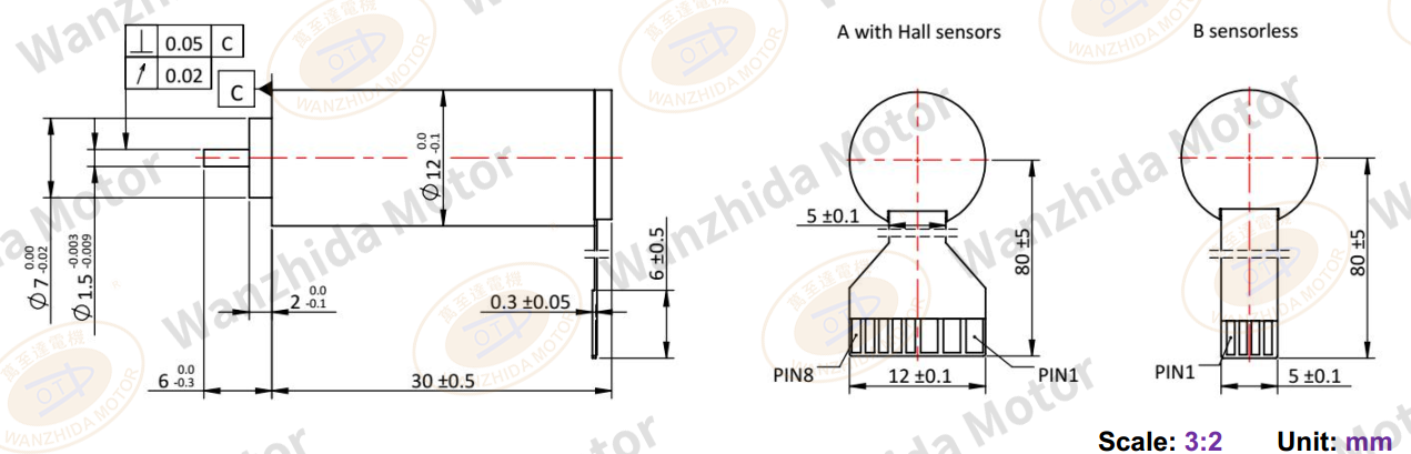ECS 1230 Electronical Commutation Slotless DC Motor-wanzhida motor