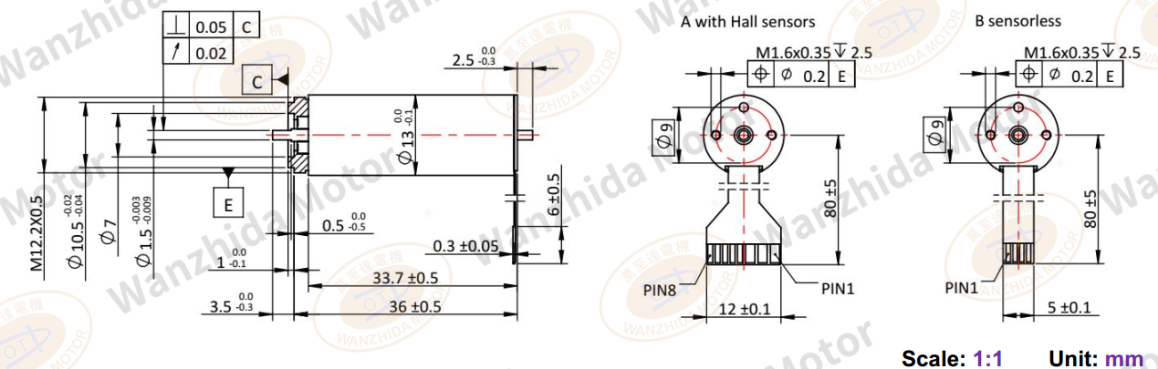 ECS 1334 Electronical Commutation Slotless DC Motor-wanzhida motor