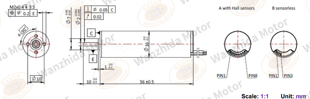 Coreless motor_Electronical Commutation Slotless DC Motor-wanzhida motor