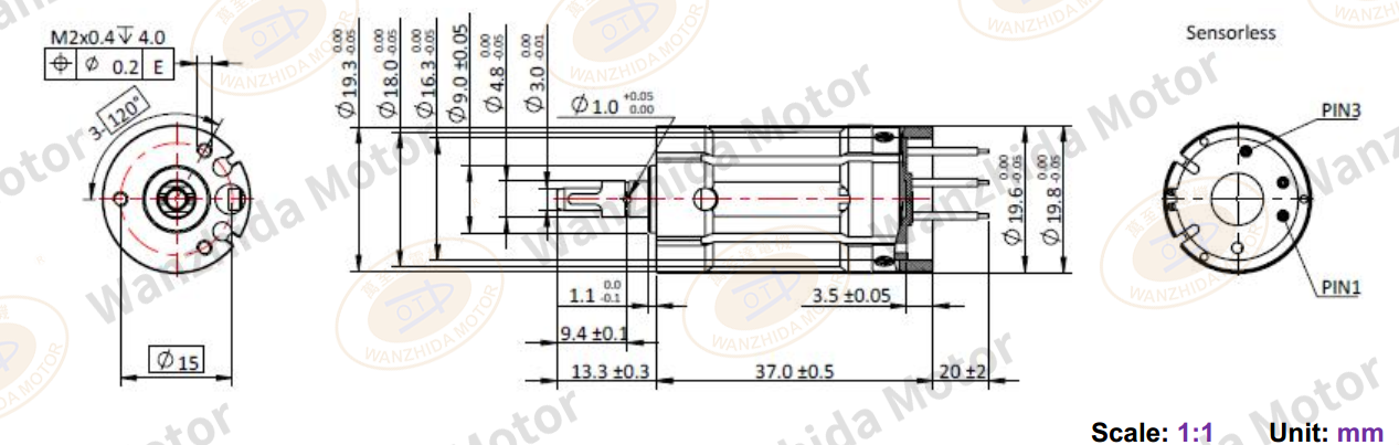 20mm Coreless motor_Electronical Commutation Slotless DC Motor-wanzhida motor