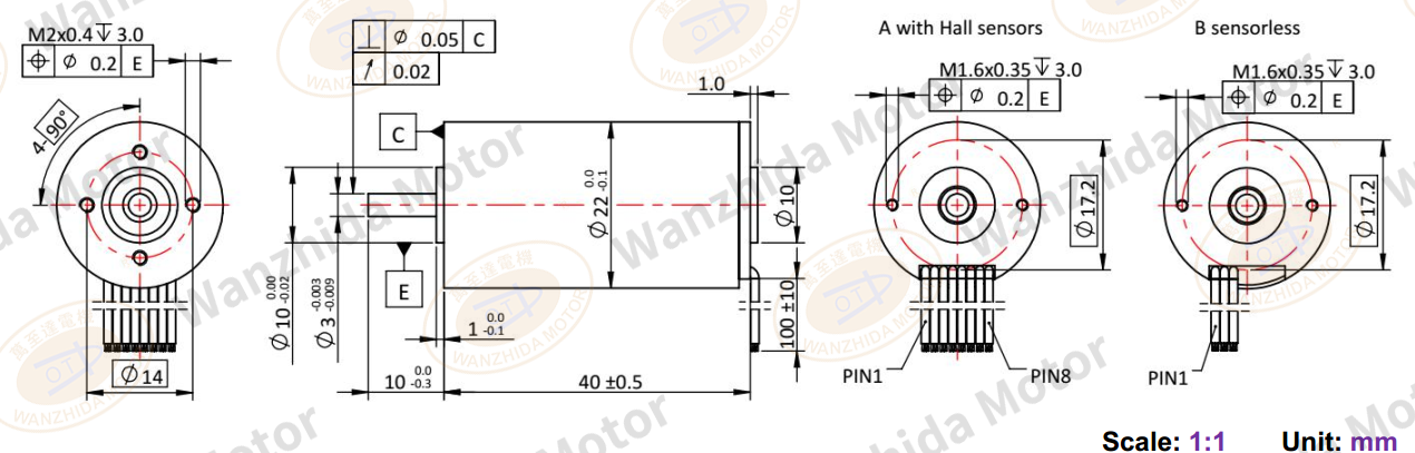 22mmCoreless motor_ Electronical Commutation Slotless DC Motor-wanzhida motor