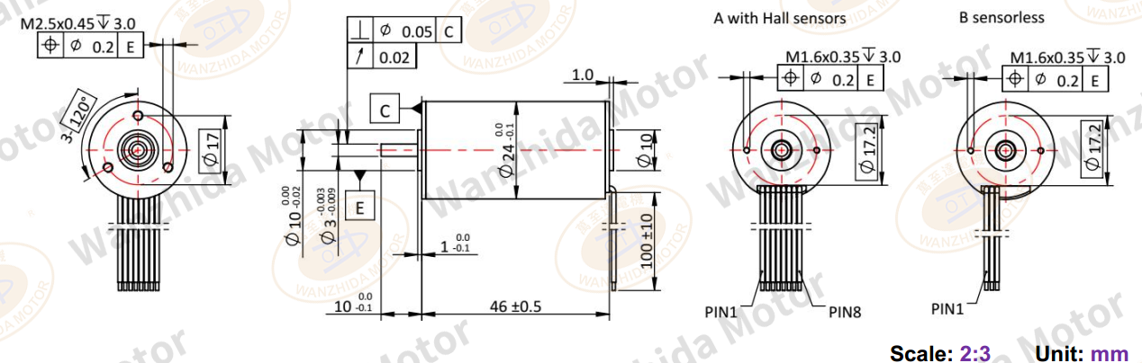 Φ24Coreless motor_Electronical Commutation Slotless DC Motor-wanzhida motor