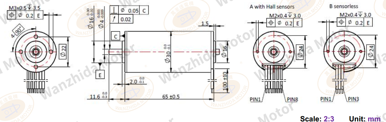 ECS 3065Coreless motor_Electronical Commutation Slotless DC Motor-wanzhida motor
