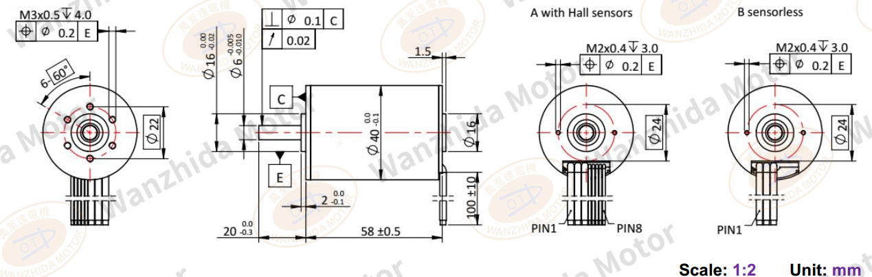 40mm Coreless motor_Electronical Commutation Slotless DC Motor-wanzhida motor