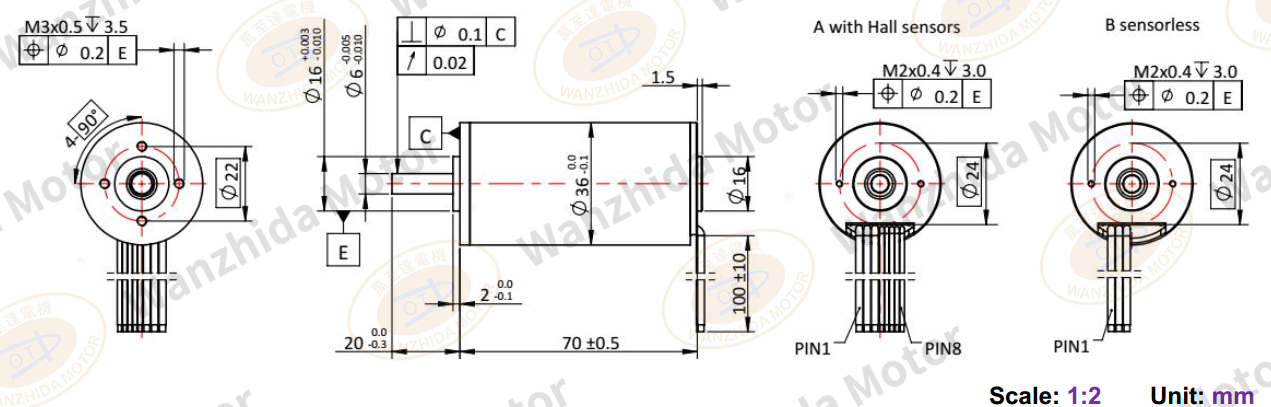 36mmCoreless motor_Electronical Commutation Slotless DC Motor-wanzhida motor